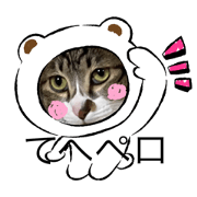 TAKU_20211116212341