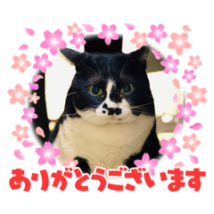 daily_20211116234824