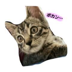 Rina_20211117021043