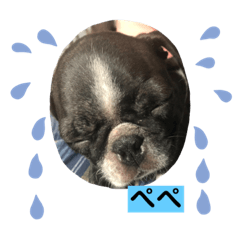 Chisa_20211116211050