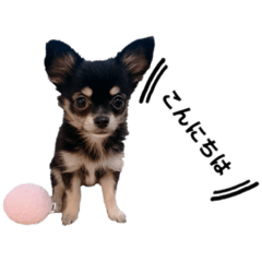 chan_20211117101811