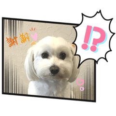 yuka_20211116191756
