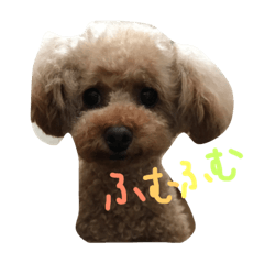 我很好。