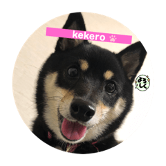Kekero_20211117104302