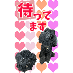 OKUN ACHANBIG Sticker