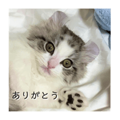 RINA_20211116202843