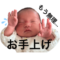 hikari_20211116201444