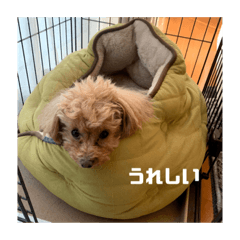 kuu_20211117031317