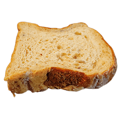 Food Series : Frozen Multigrain Bread