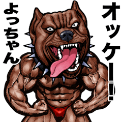 Yochan dedicated Muscle macho animal