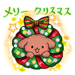 hunwa-ri mokomoko toy poodle 3 winter