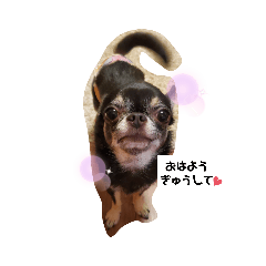 saori_20211117021617