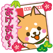 2018 SHIBAKEN New Year and daily life