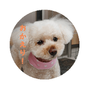 narunaru_20211117062053