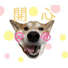 Coni敲敲門
