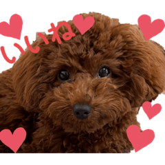 naho_20211117152321