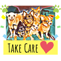 Six Chihuahuas