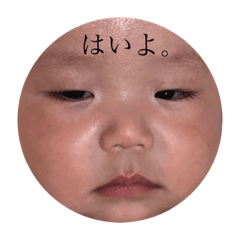 yk_20211117174735
