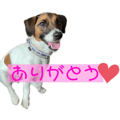 Nanami_20211117200408