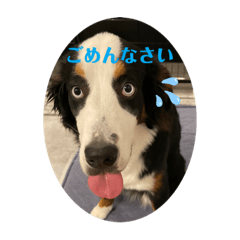 hana_20211117220736
