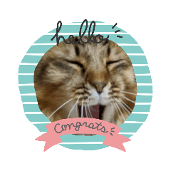 akiko_20211117224341