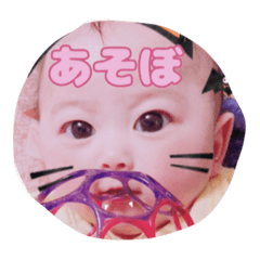 wtpmpjdg