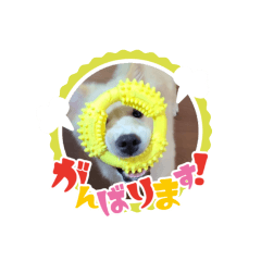 saya_20211117200355