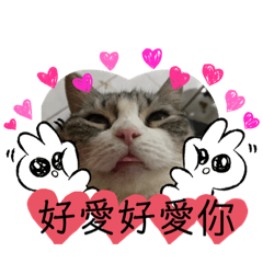 10顆眼睛圓滾滾的