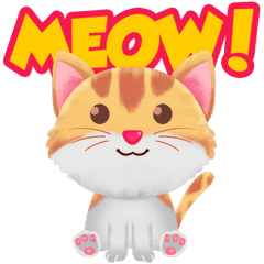 Ada Kucing!