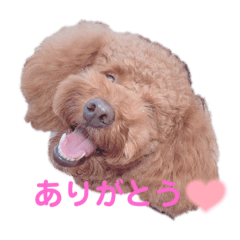 TOMOMI_20211118013255