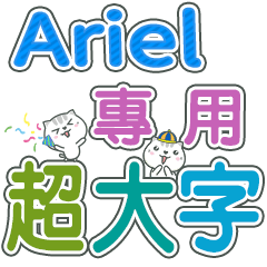 410(Ariel)Name Sticker- large