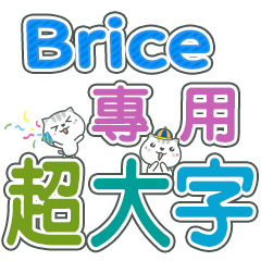 417(Brice)Name Sticker- large