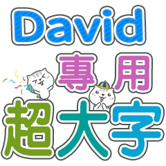 434(David)Name Sticker- large