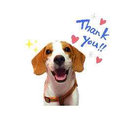 Grace_20211117174111