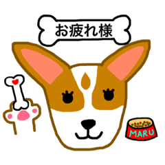 maruMARU 8