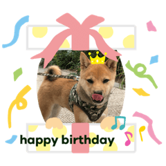 yukari_20211118154557