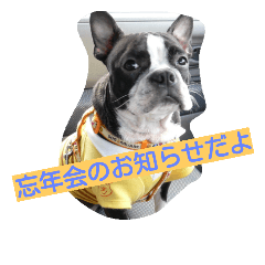 pecha Dog New Year greeting Collection