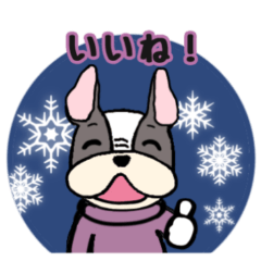 French bulldog's sticker Winter version