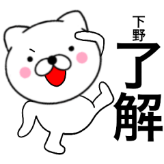 Name cat Shimono
