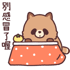 我是狸貓4 冬天的日常