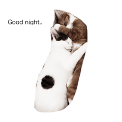 risa_20211118192559