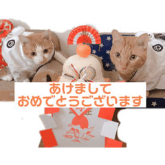 hanamama_20211118223255