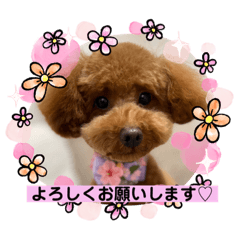 Risa_20211118235828