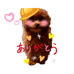 Julia_20211119023333