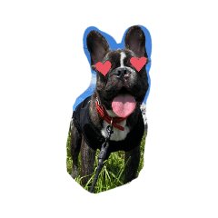 ayumi_20211118204213