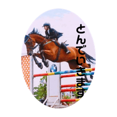 Seira_20211118193156