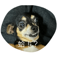 Andy 的臉會說話2