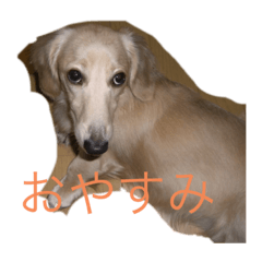 yukina_20211118231832