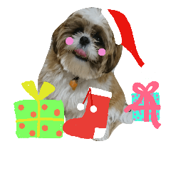 cute rounde dog ponnmaru Christmas