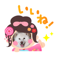 HANA_20211118222542